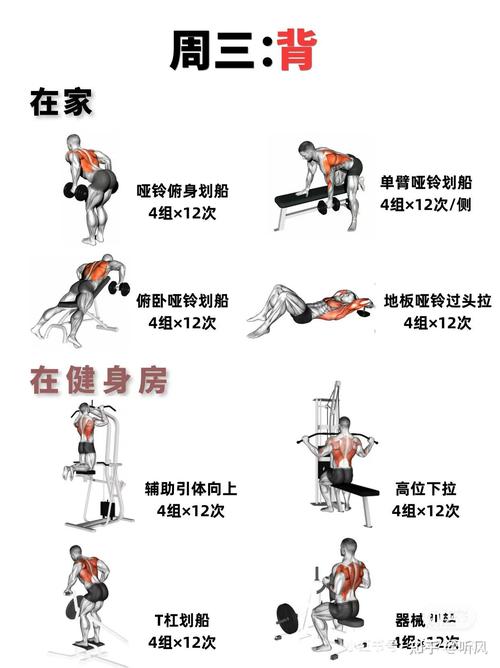 只有一个哑铃怎么练_哑铃全身练，在家就能塑形！