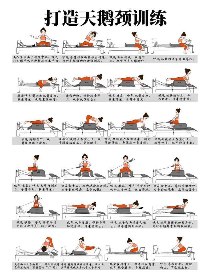 普拉提初级十个动作_普拉提塑形强身,提升核心与协调 普拉提初级十个动作_普拉提塑形强身,提升核心与协调