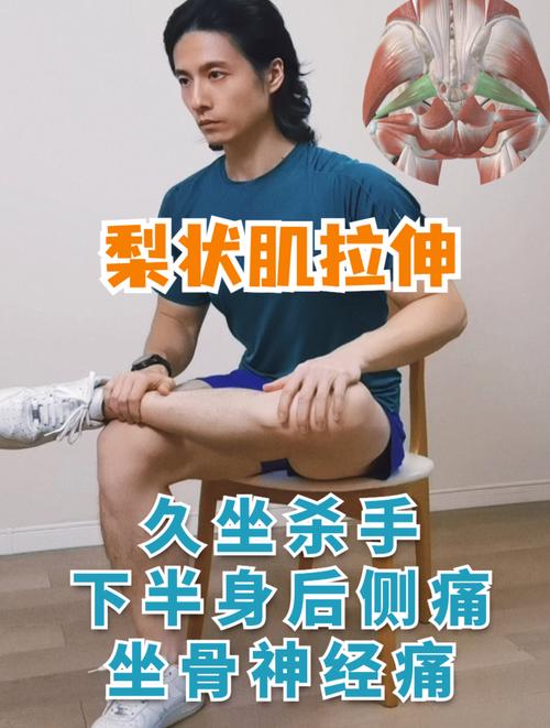 梨状肌训练10套最佳动作_梨状肌疼痛？别误诊，拉伸加训练才有效！