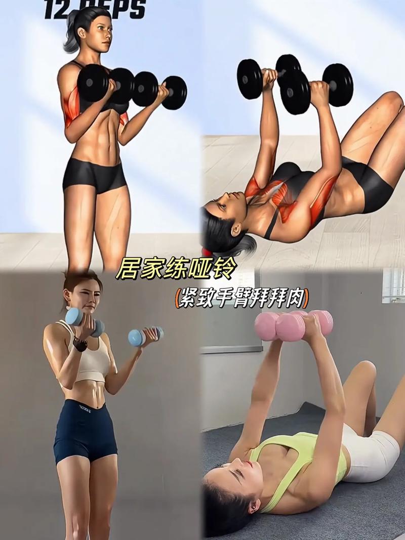 6斤哑铃适合什么人_6斤哑铃入门塑形，安全易学！