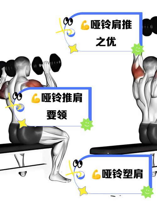 女士适合聚哑铃锻炼吗_哑铃塑形瘦手臂 女士必备