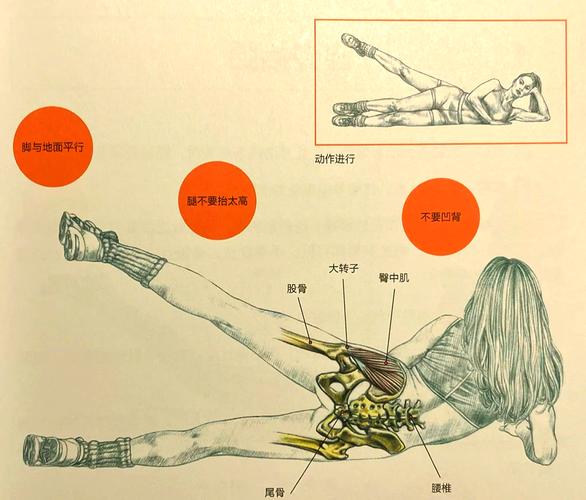 臀腿训练10个经典动作_史密斯机深蹲塑臀腿，拉伸增形防损伤