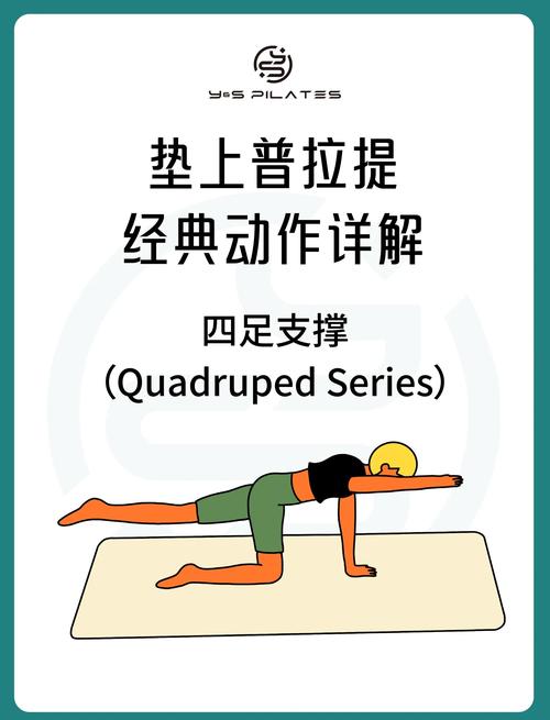 普拉提健身法入门指南_普拉提呼吸与核心练习，提升身体平衡与柔韧性