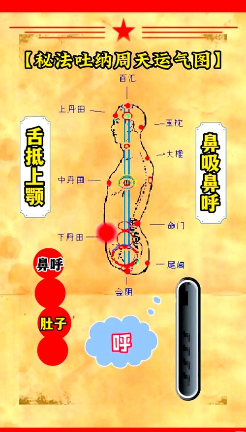 吐纳的正确练法_身心合一，放松减压好方法
