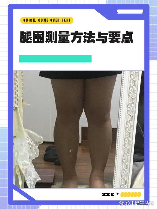 大小腿腿围最佳比例_美腿不拘一格，协调自信最关键
