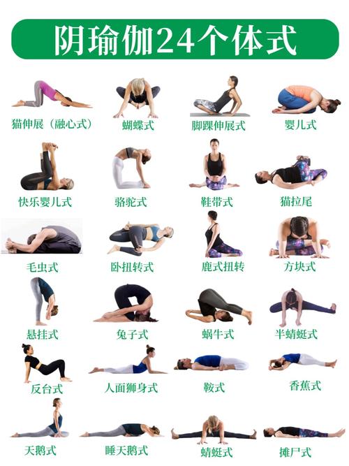 瑜伽基本功动作26个_26式练出柔韧力量平衡