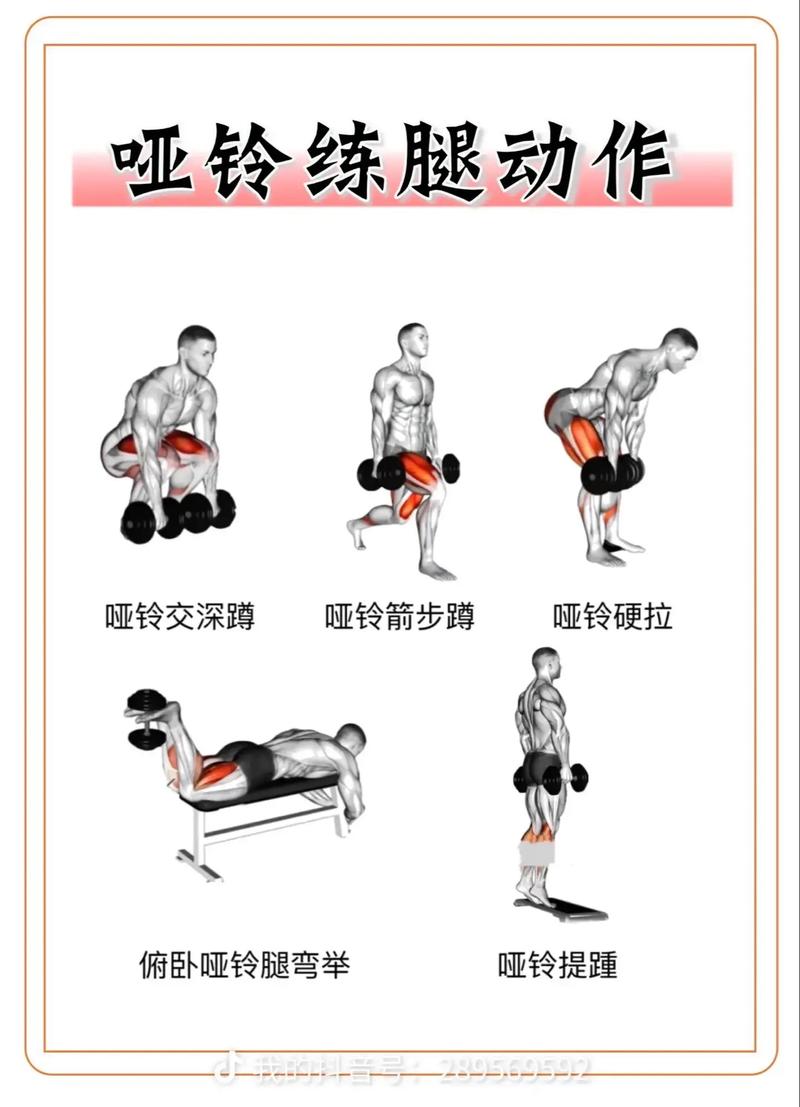 刚开始练哑铃多重合适_哑铃选多重？看目标体重和目标