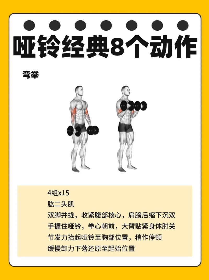 哑铃经典10个动作图片_哑铃50动作全身练，胸肩臂轻松塑形