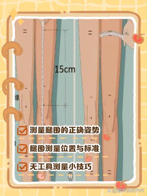 美腿腿围标准对照表_比例形态最重要 美腿腿围标准对照表_比例形态最重要