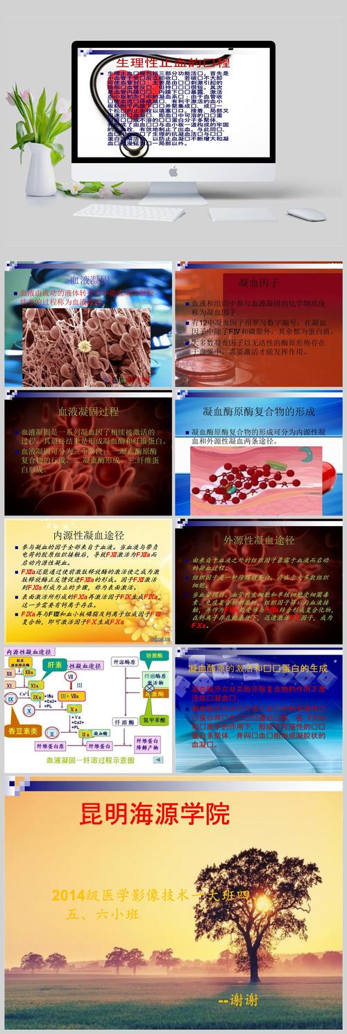 血液凝固三个基本步骤_人体止血靠凝血，内外凝血有不同