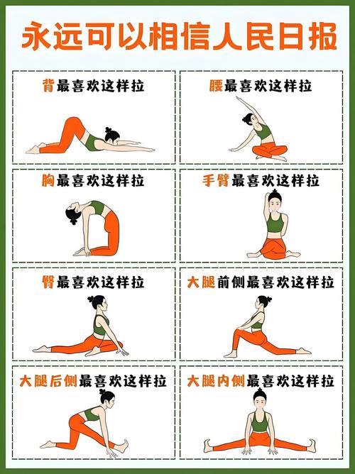 一至几级为健身瑜伽基本体式_健身瑜伽九等级，初学者友好，日常拉伸放松好选择