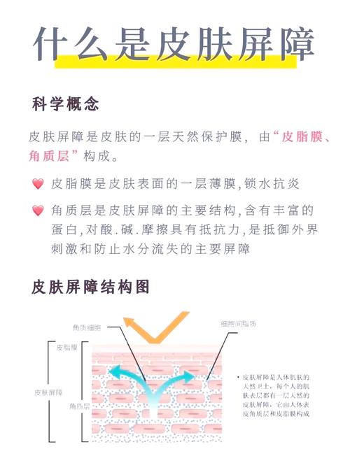 修复皮肤屏障最好的方法_温和洁面保湿，修复屏障避刺激，严格防晒，皮肤屏障好