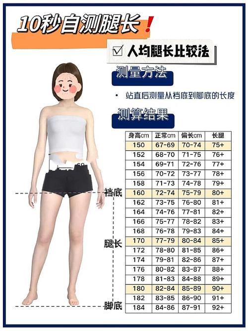 超模腿长标准对照表_大腿29%-30%，小腿20%-21%，美腿需5并4空