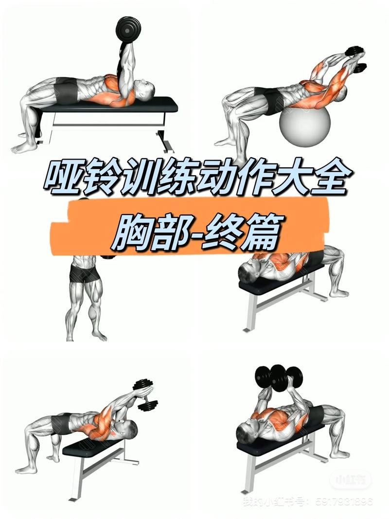 上胸肌怎么练无器械_角度+质量，无器械也行