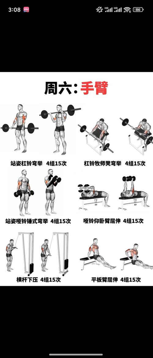 臂力器训练方法_居家臂力器增肌塑形，坚持30天手臂线条变饱满