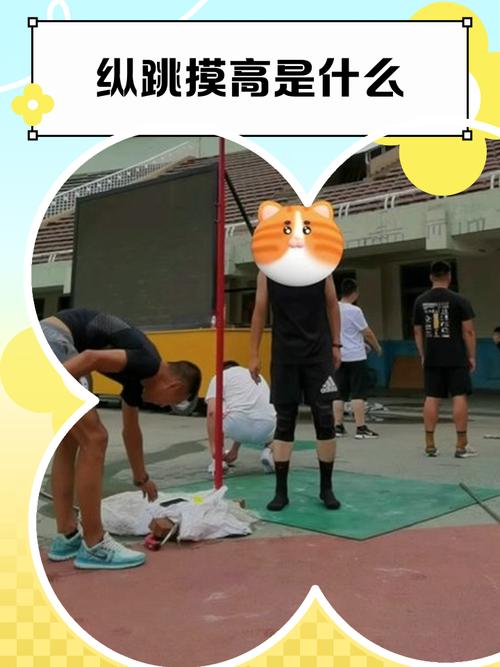 纵跳摸高训练方法与技巧分享