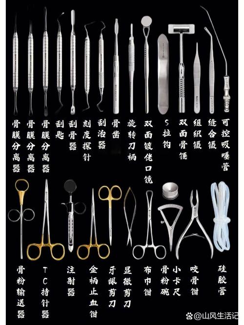 口腔器械辨认_保障口腔健康