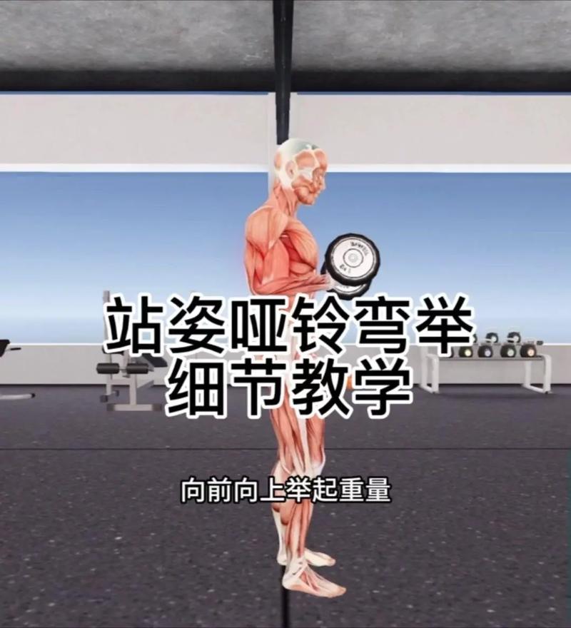 单手哑铃的正确锻炼方法_单手哑铃练全身,增肌又健康 单手哑铃的正确锻炼方法_单手哑铃练全身,增肌又健康
