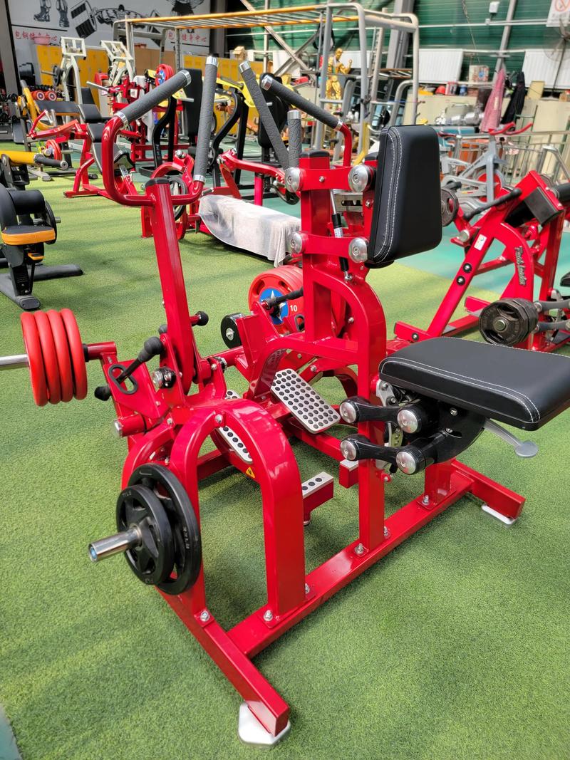 拉背的健身器材叫什么_划船机高位下拉器TRX必备！