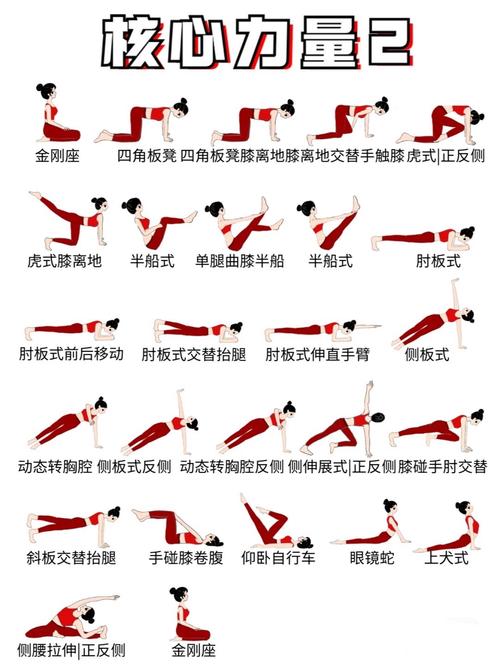 25个健美操基本动作_无低高冲击，适合不同训练需求