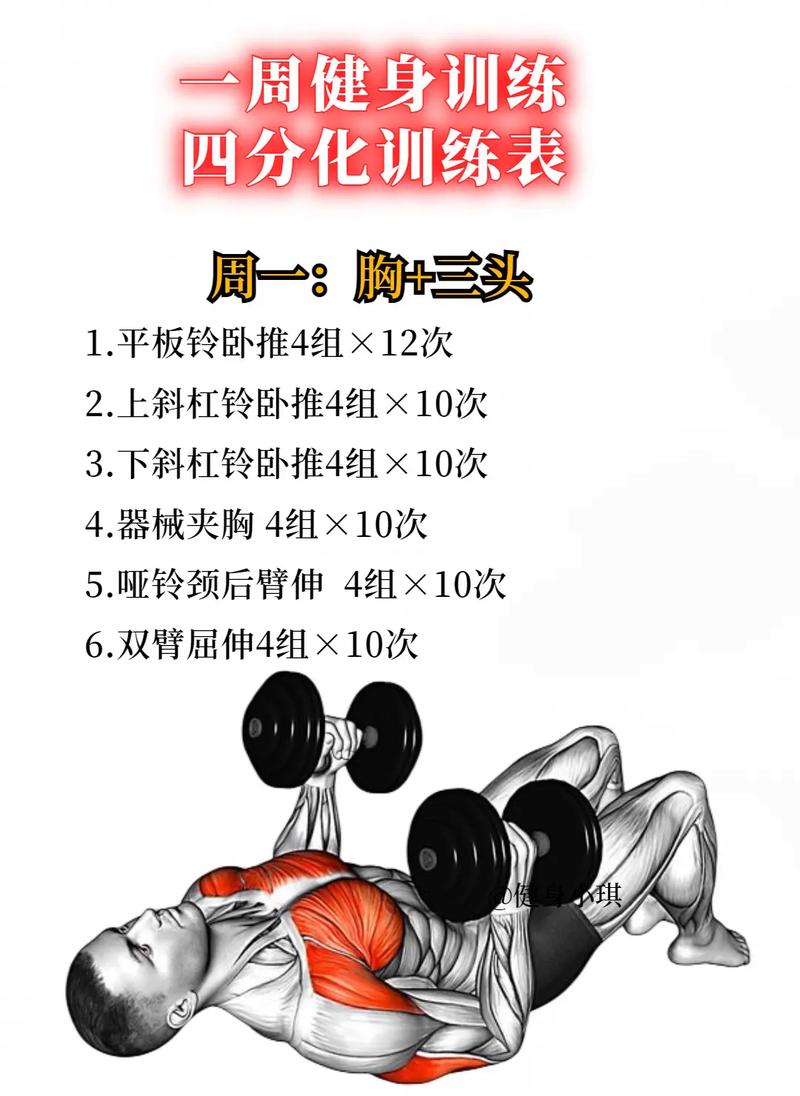 分化训练模式的具体运用方法包括_新手到专业，总有一款适合你