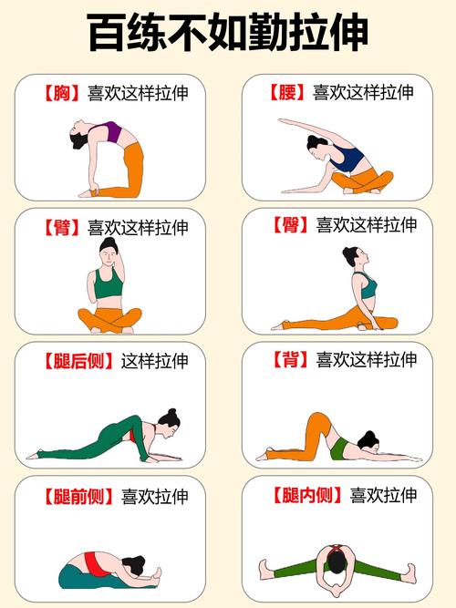 初期瑜伽初入门动作_平衡力量柔韧放松，身心和谐提升生活质量