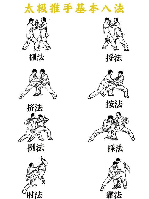 太极拳八个基本动作_基础招式，强身健体！