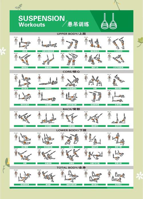 48种健身动作名称_核心训练提升力量稳定性，太极拳锻炼协调柔韧