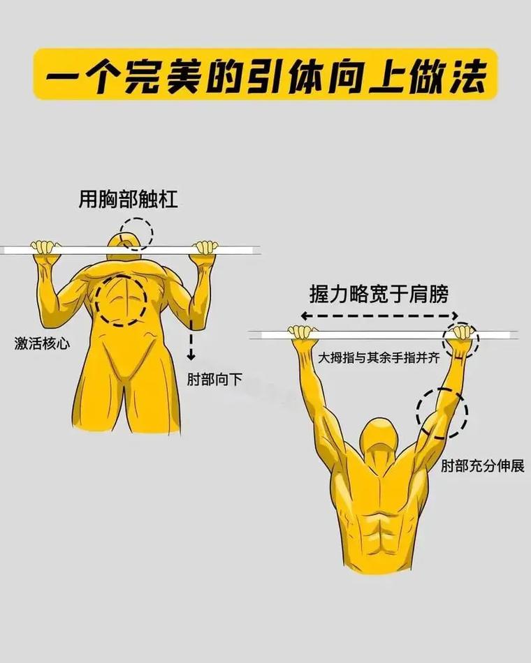 练引体向上最好的方法_引体向上练握力背力，悬吊平板支撑很有效