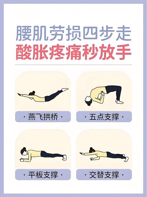 腰部力量怎么练_腰部力量比外形重要，安全训练五方法