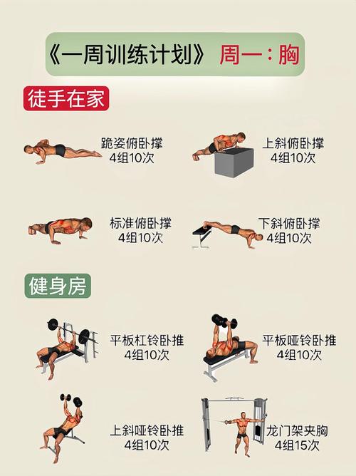 体适能训练十个动作_俯卧撑深蹲，无器械提力！