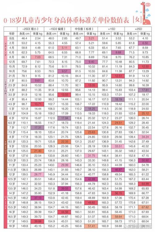 超模腿长标准对照表_大腿29%-30%，小腿20%-21%，美腿需5并4空