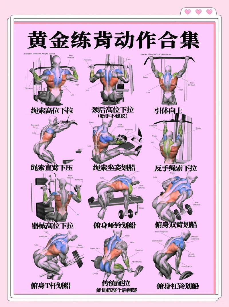 新手引体向上训练步骤_新手练引体向上，背臂核心都练到