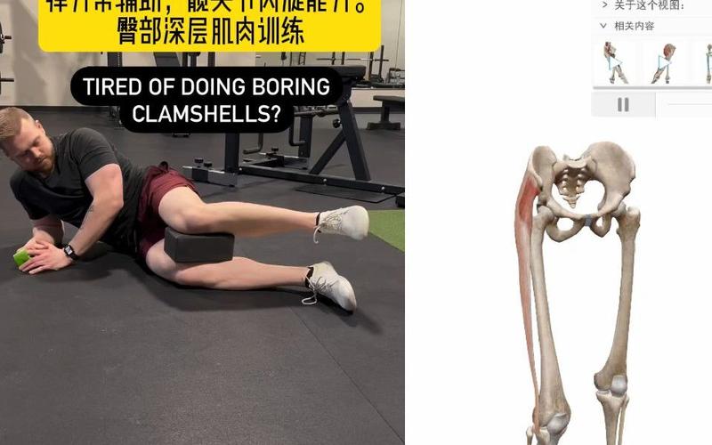 髋内旋练大腿内侧还是外侧_强化内收肌，改善平衡态
