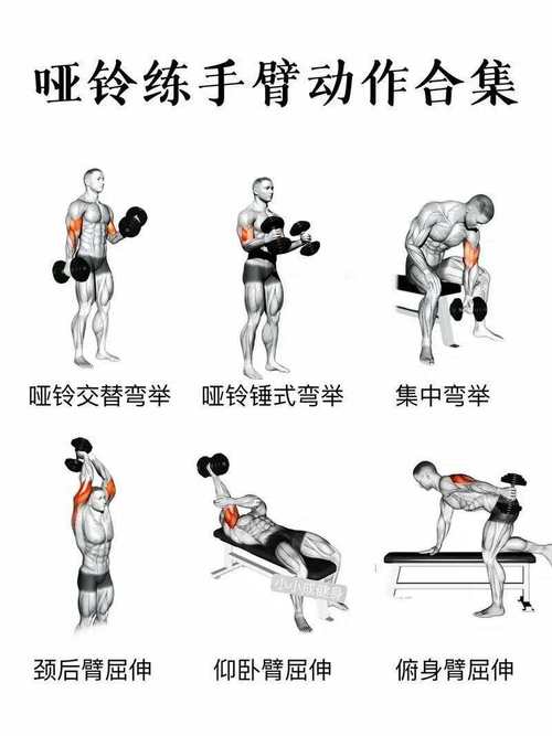 初次练哑铃用多少斤合适_哑铃训练选对重量，居家健身更安全