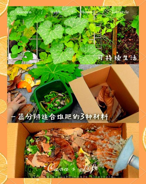 施自制水肥最简单三个步骤_自制水肥，花开更香！