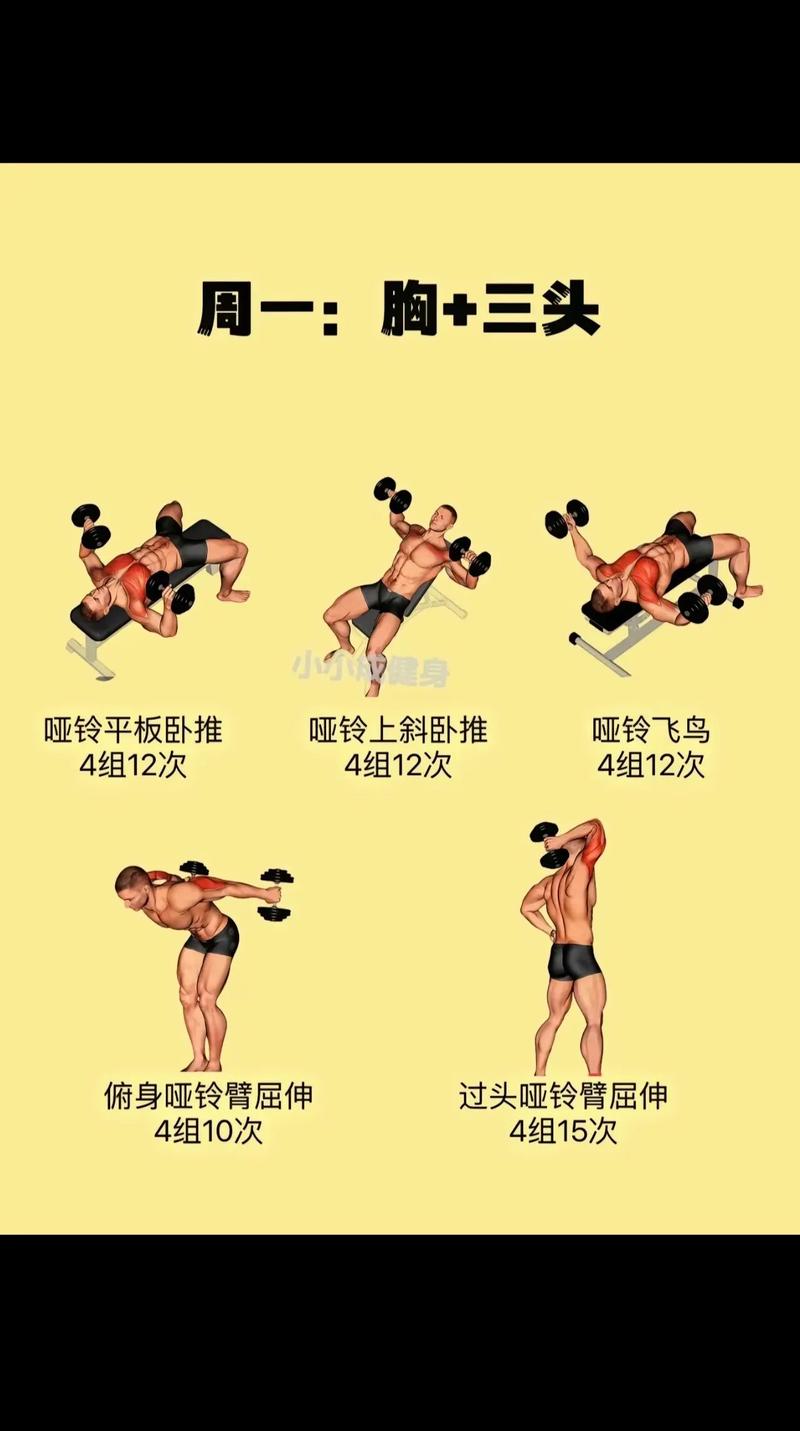 亚铃的正确的锻炼方法_哑铃训练正姿势防受伤，效果加倍！