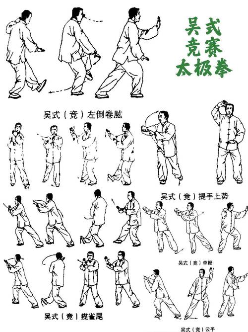 武术操有哪些基本动作_强身健体，培养协调与节奏