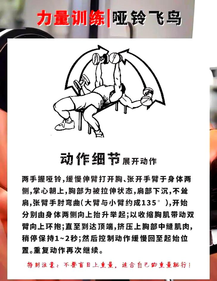 飞鸟健身动作_拉力器飞鸟练胸肌，多种变式效果佳