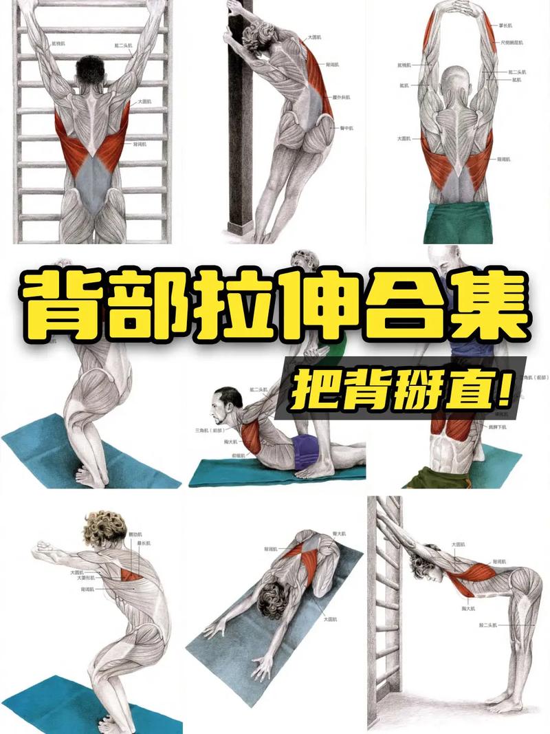 竖脊肌训练10套最佳动作_强化竖脊肌，改善腰痛体态