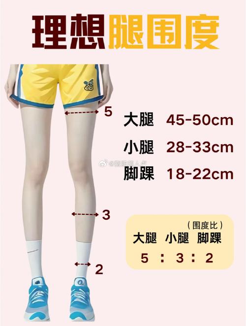 三围标准对照表女大腿小腿围_身高与三围关系大？别只看数字，健康自信最美！