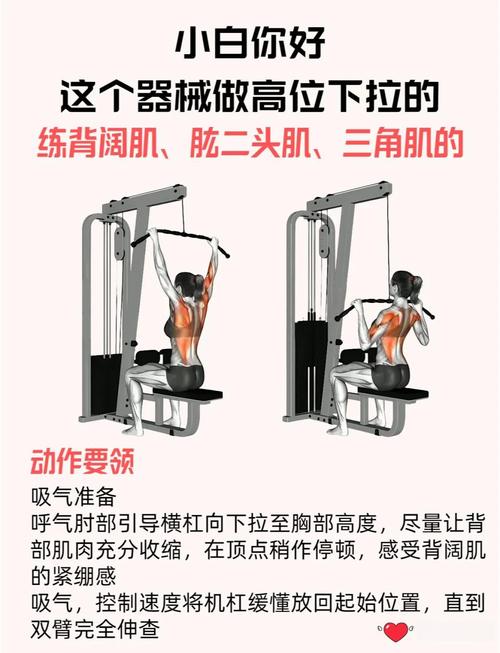 中下背部肌肉锻炼方法_练好背肌，告别腰酸背痛