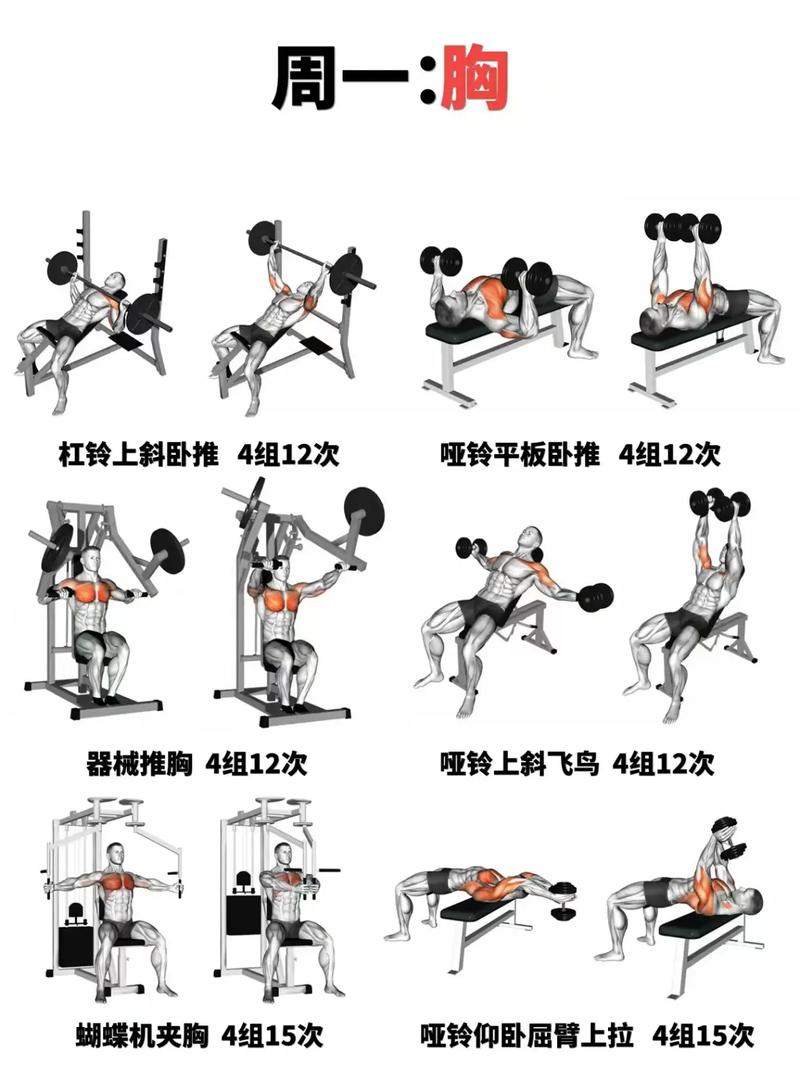炮筒训练组合100种方法_强核心 提力量 适合各级