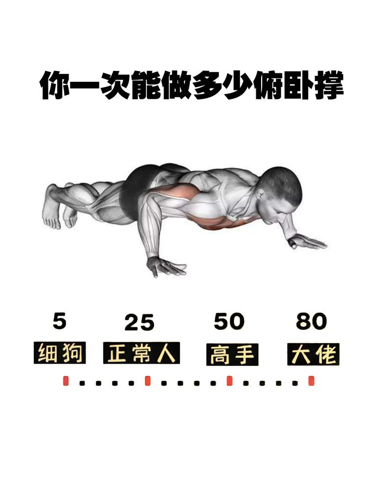 俯卧撑能练肱二头肌吗_俯卧撑练胸好，二头肌刺激少