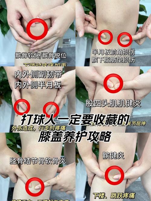 教你1个动作缓解膝关节疼痛_膝盖疼？动起来缓解！