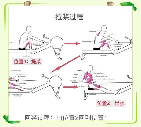水阻划船机锻炼身体哪个部位_高效燃脂塑形，关节友好
