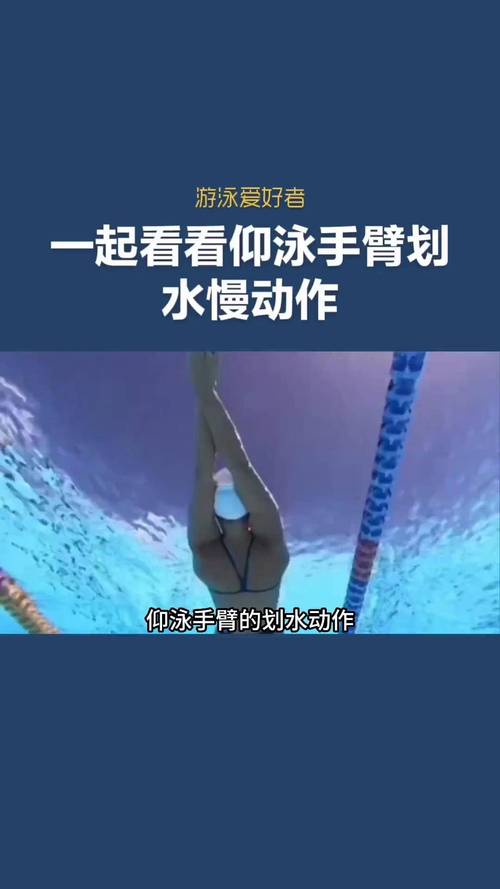 仰泳臂技术分为几个动作环节_动作要领与技巧