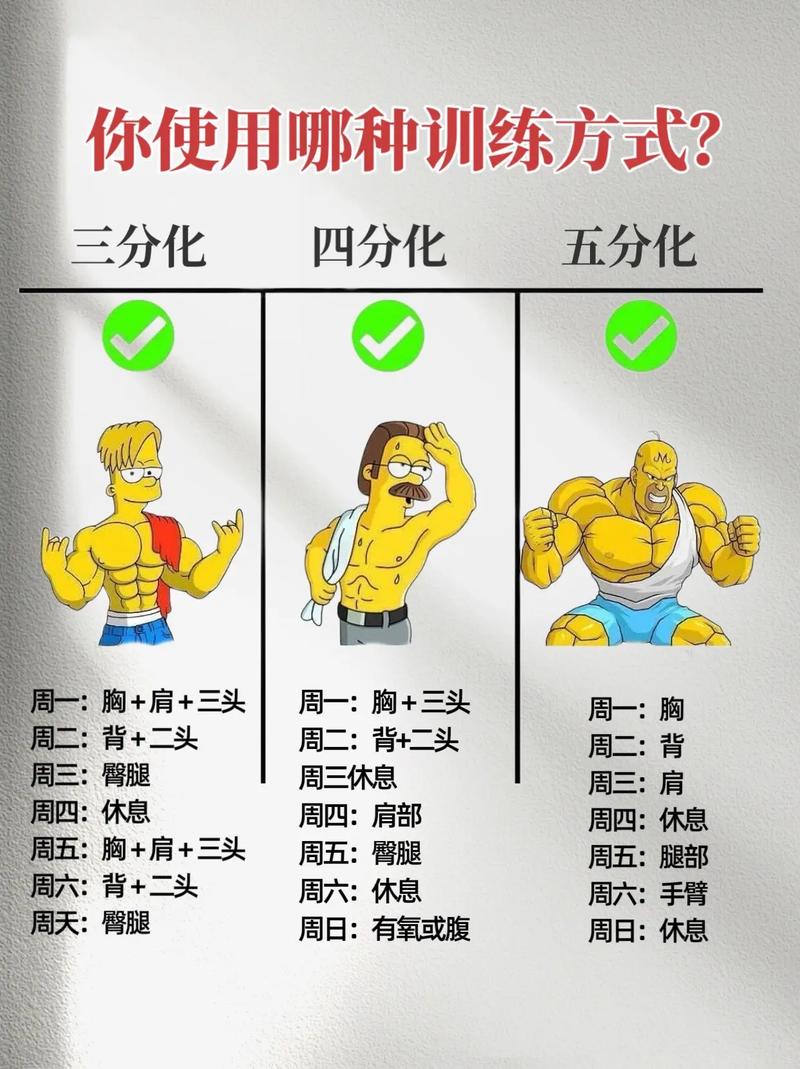 三分化训练的正确方法_推拉腿日练,高效突破瓶颈 三分化训练的正确方法_推拉腿日练,高效突破瓶颈