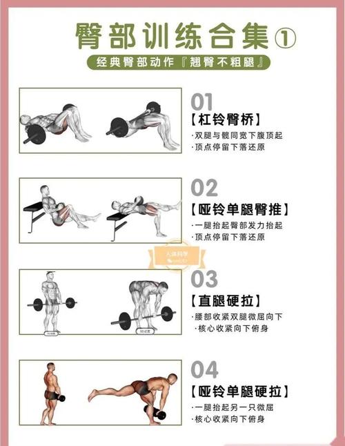 臀大肌训练30个动作_强健肌肉防损伤