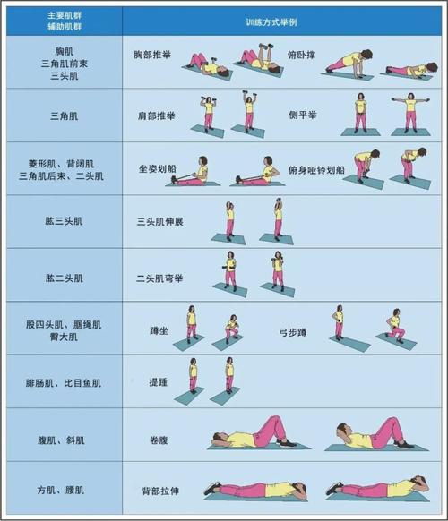 抗阻圈的正确锻炼方法_颜色选对，动作标准，每周练两次！